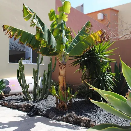 Charming Casa With 2 Terraces - Casa Lina Fuerteventura * Κοραλέχο