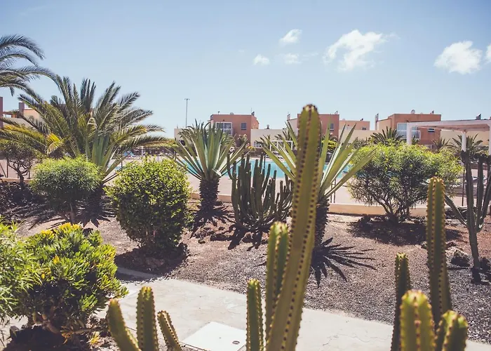 Charming Casa With 2 Terraces - Casa Lina Fuerteventura Κοραλέχο
