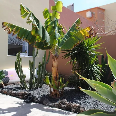 Charming Casa With 2 Terraces - Casa Lina Fuerteventura * Corralejo